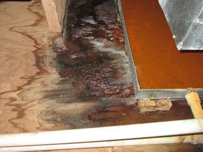 About water damage restoration service - burst pipe water damage experts in Charlotte